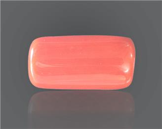 Natural Red Coral 15.86 RTS ( 30599 )